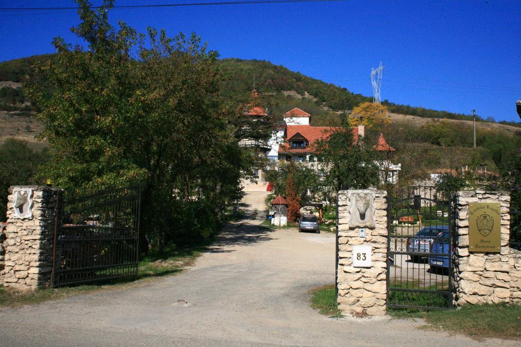 Castelul Lupilor Hotel Kéménd Kültér fotó