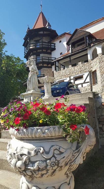 Castelul Lupilor Hotel Kéménd Kültér fotó